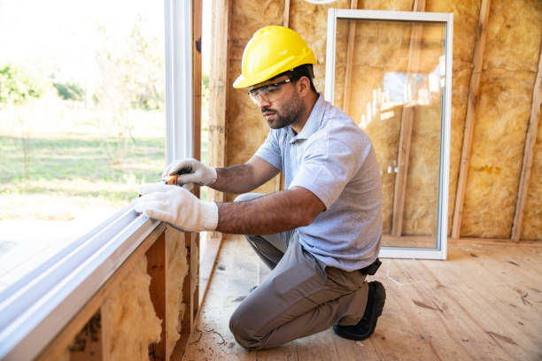 Best Insulation Removal  in Saranac, MI
