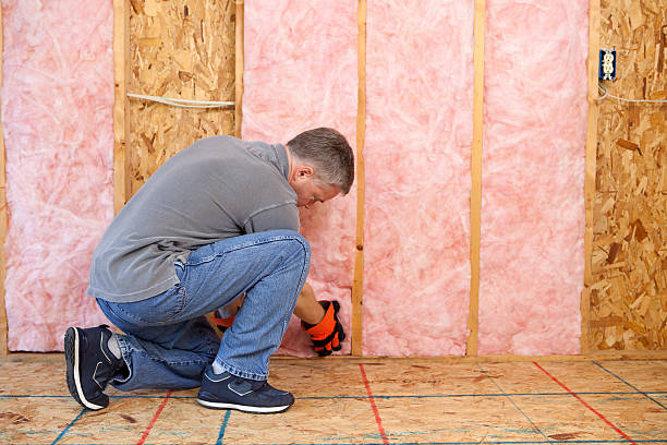 Best Insulation Repair Services  in Saranac, MI