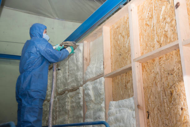 Best Spray Foam Insulation  in Saranac, MI
